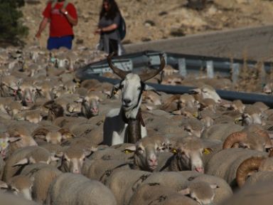 Vereda de Guadalaviar a Vilches. Foto de Aintzane Martínez Jiménez 