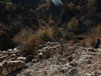 Vereda de Guadalaviar a Vilches. Foto de Aintzane Martínez Jiménez 