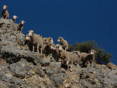 Vereda de Guadalaviar a Vilches. Foto de Aintzane Martínez Jiménez 