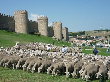 Murallas de Ávila © Asociación Trashumancia y Naturaleza (TyN)