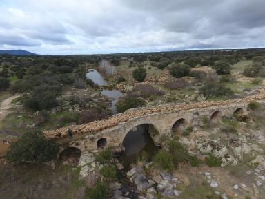 © Camino Limia (Ganadería Merina Joaquín Ortiz) @merinospain