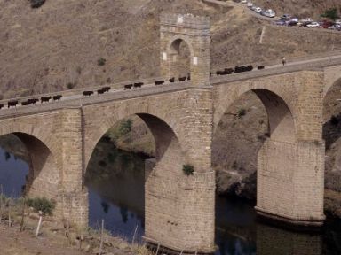 Puente de Alcántara © Asociación Trashumancia y Naturaleza (TyN)