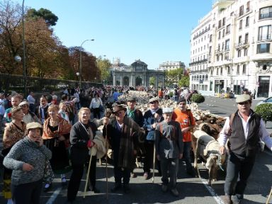 Puerta de Alcalá, Madrid © Asociación Trashumancia y Naturaleza (TyN)