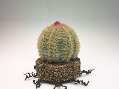 "Serie Cactus" 1985 de Forence Perkins. Vidrio soplado más hilos de vidrio © MAVA (Museo del Vidrio de Alcorcón)